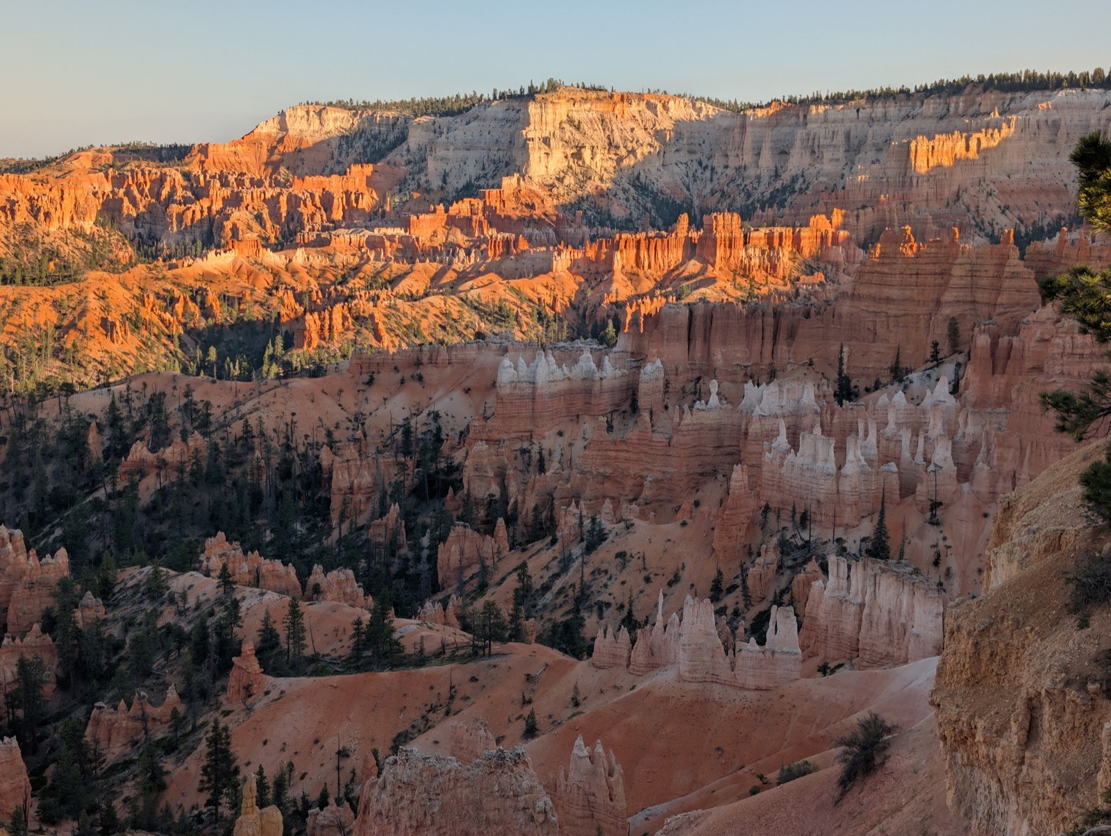 Bryce Canyon hoodoos at sunset