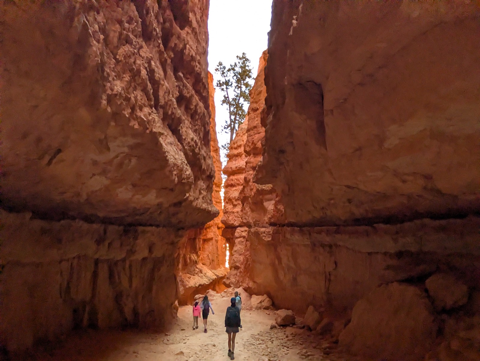 Hiking a slot trail in Bryce Canyon